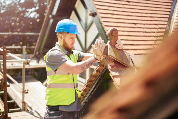 Best Emergency Roof Repair  in Tok, AK