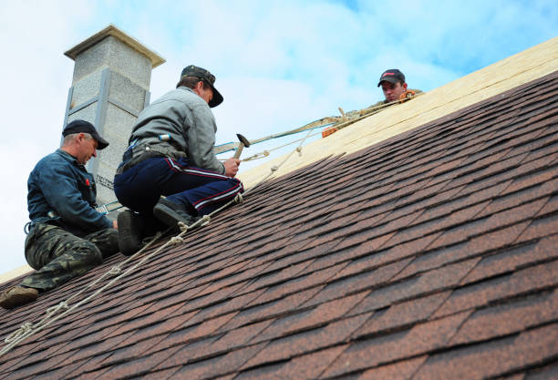 Best Emergency Roof Repair  in Tok, AK