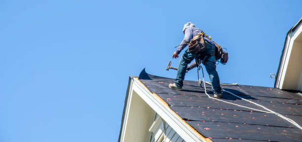 Best Roof Repair Services  in Tok, AK
