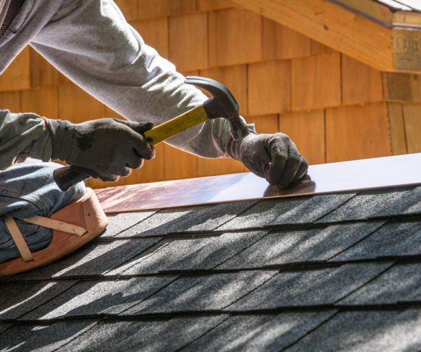 Best Roof Repair Services  in Tok, AK